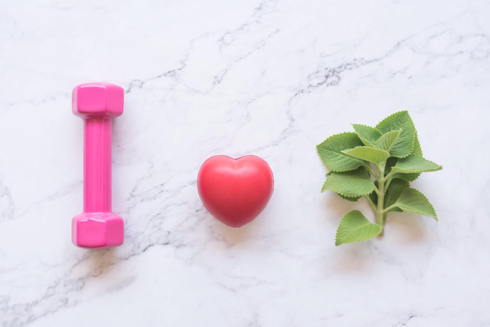 Peso de gimnasio, corazón y planta medicinal